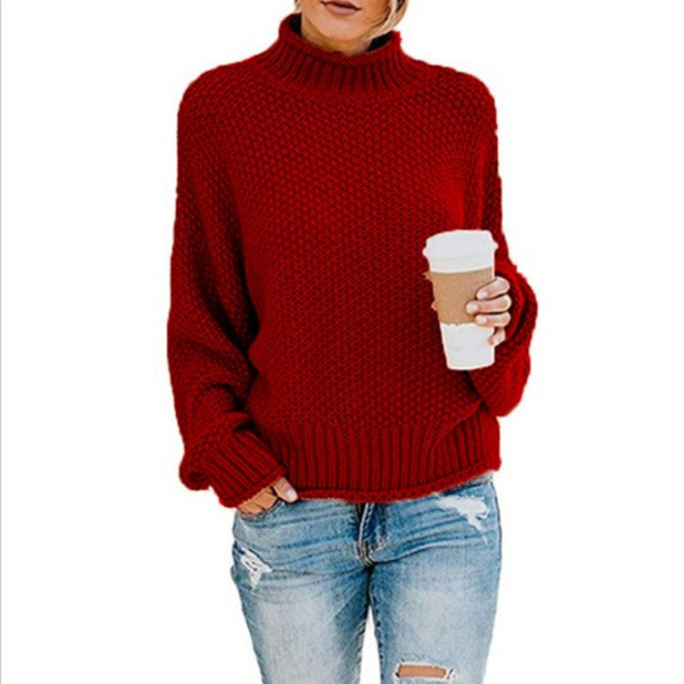 Women's cozy knit sweater with high collar and soft textured design Ivyshape