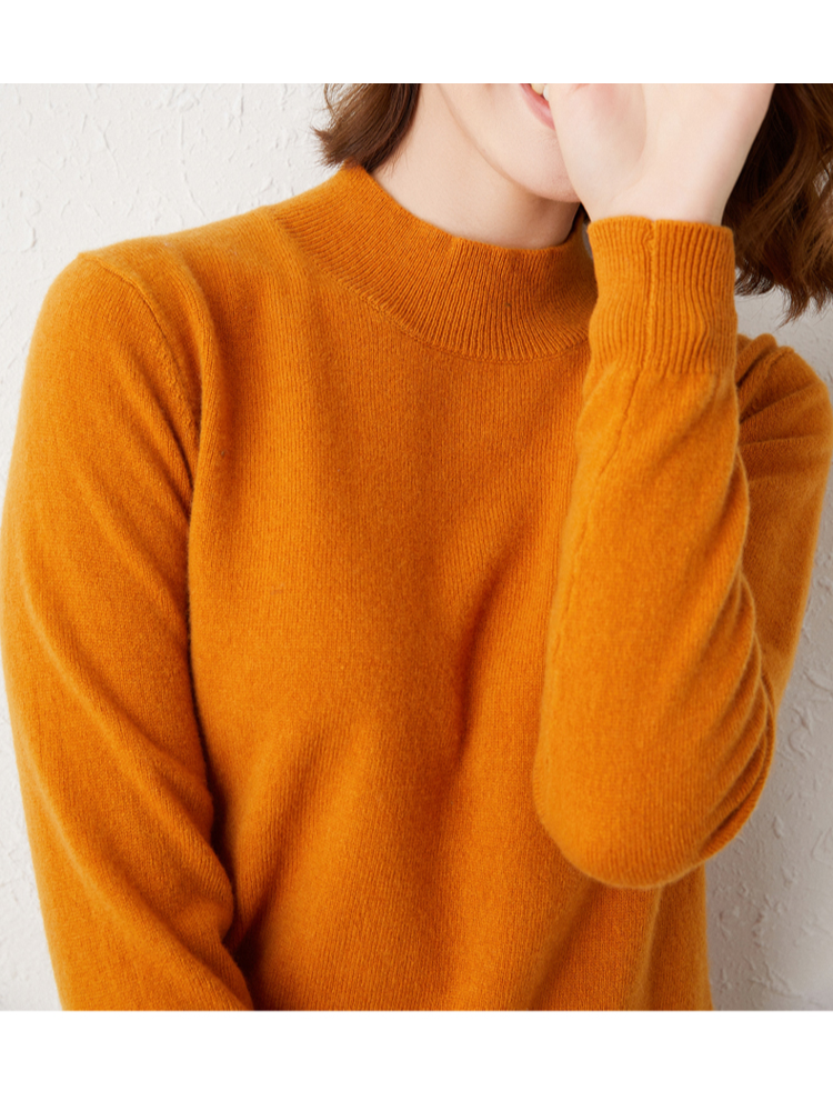 Ivyshape | Lightweight Turtleneck Sweater for Women