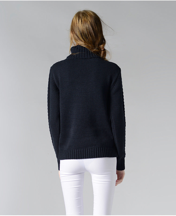 IvyShape | High collar twisted knit base sweater