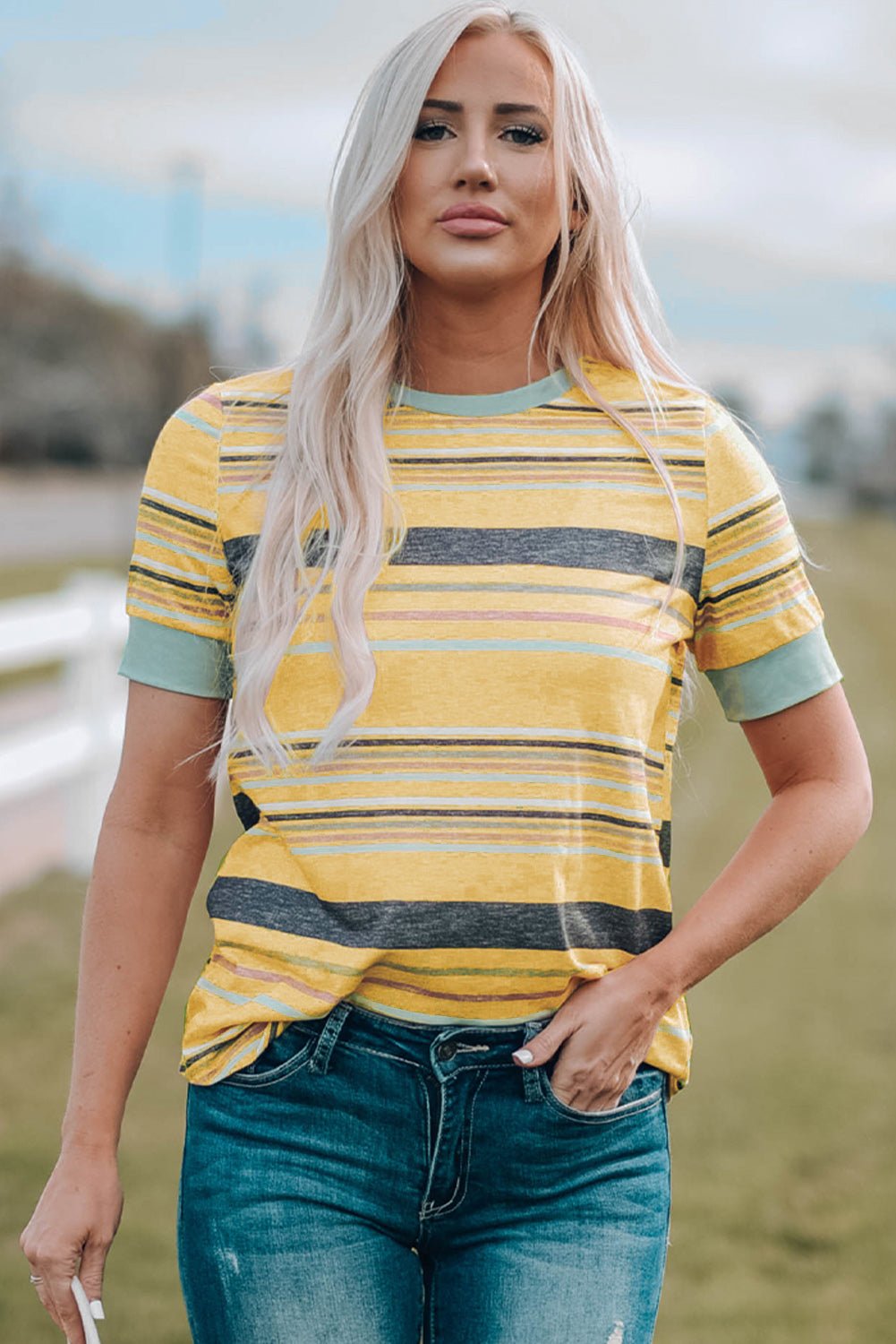 Ivyshape | Multicolored Striped Round Neck Tee Shirt