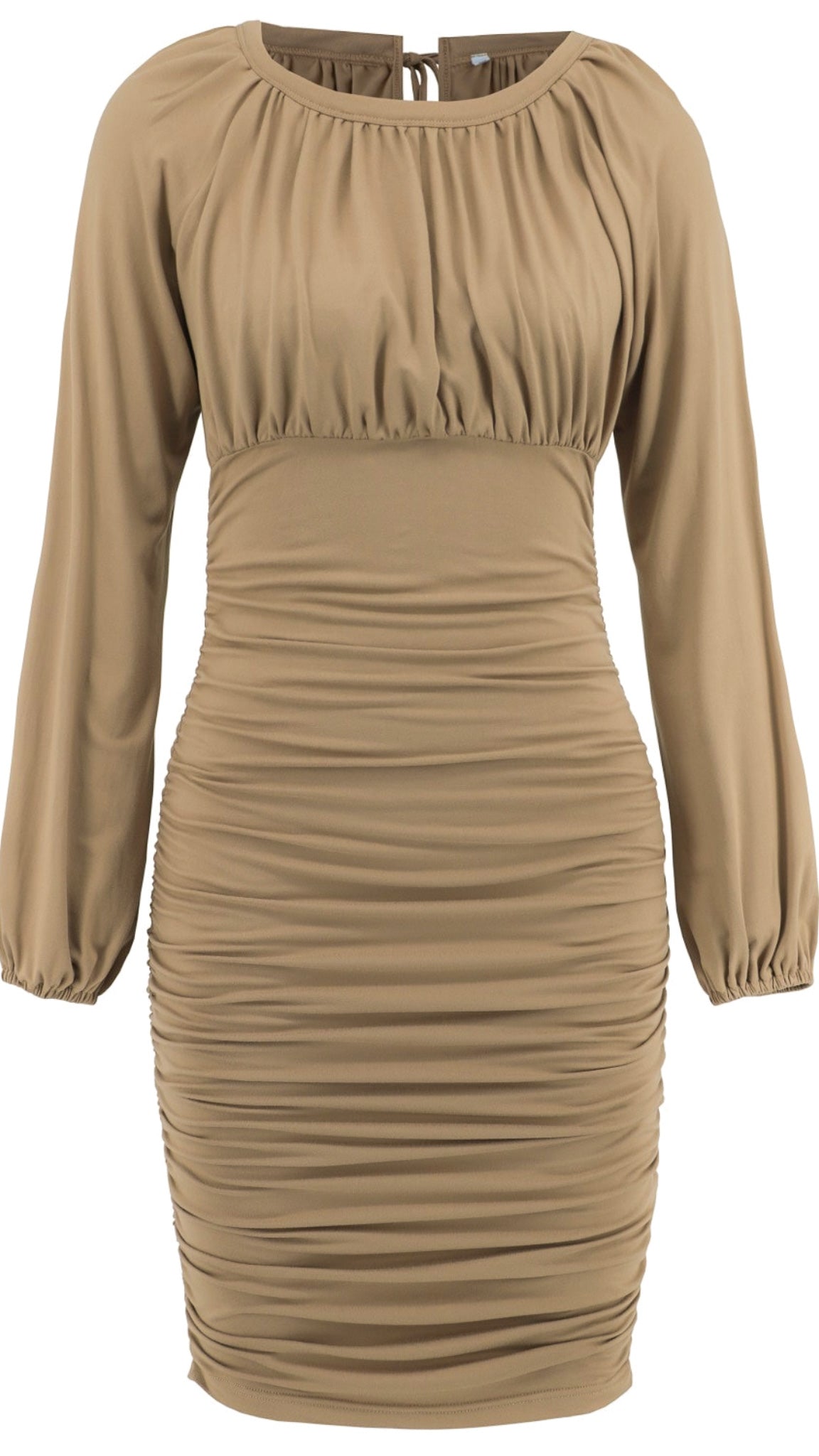 Bodycon Ruche Dress