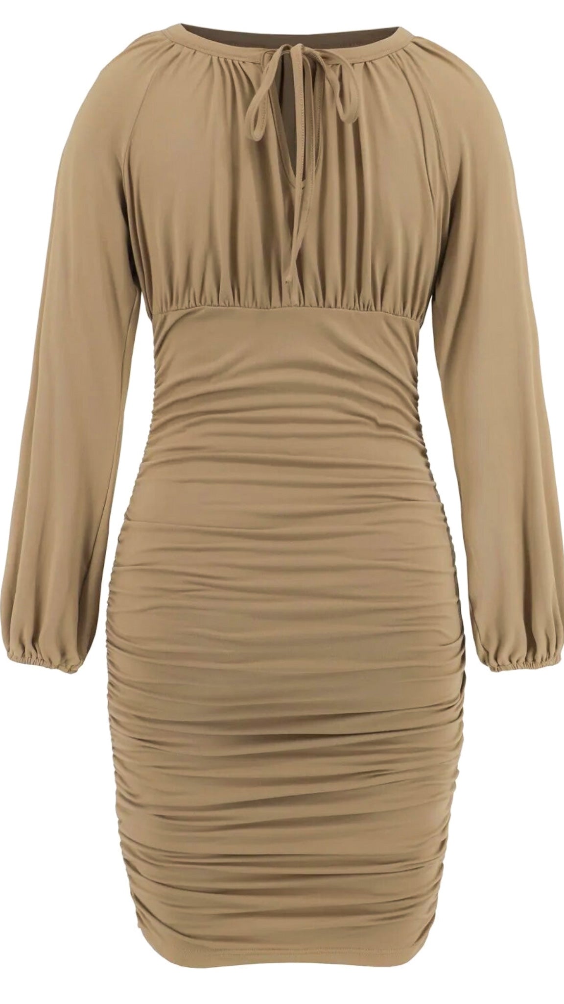 Bodycon Ruche Dress