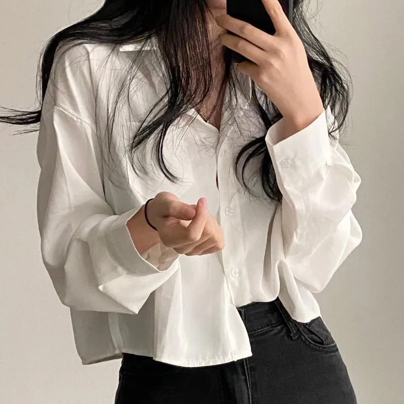 Women's Elegant Sunscreen Long Sleeve Office Blouse