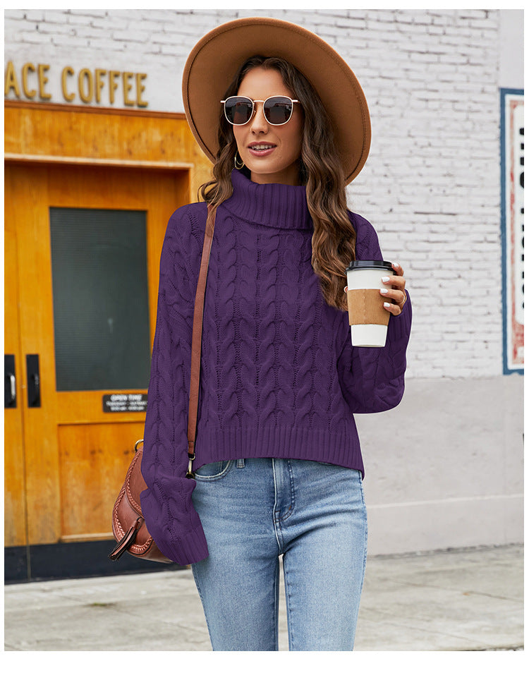 IvyShape | Chunky Knit Turtleneck Casual Sweater