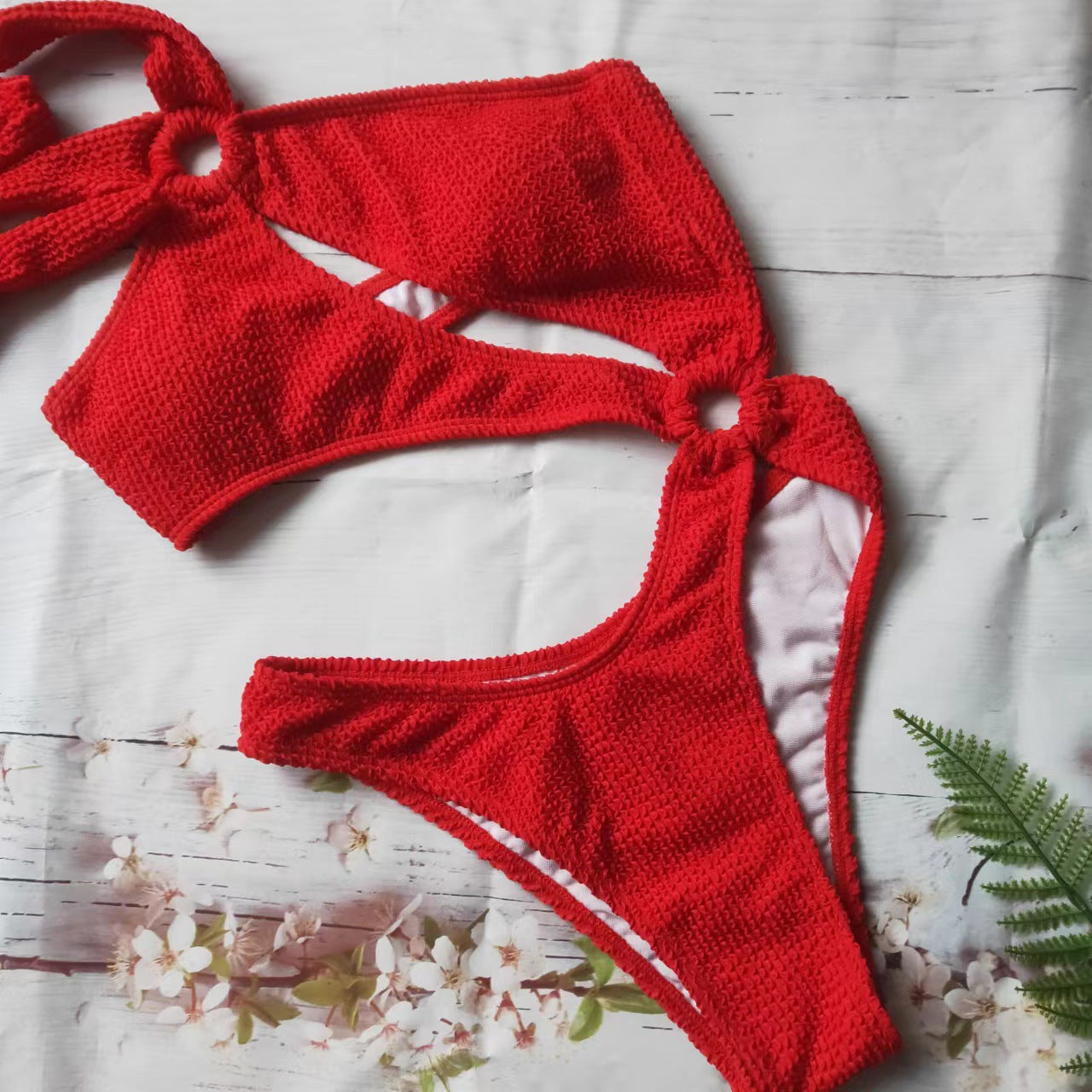 Women’s Bikini in modern Cut-Out Style Ivyshape