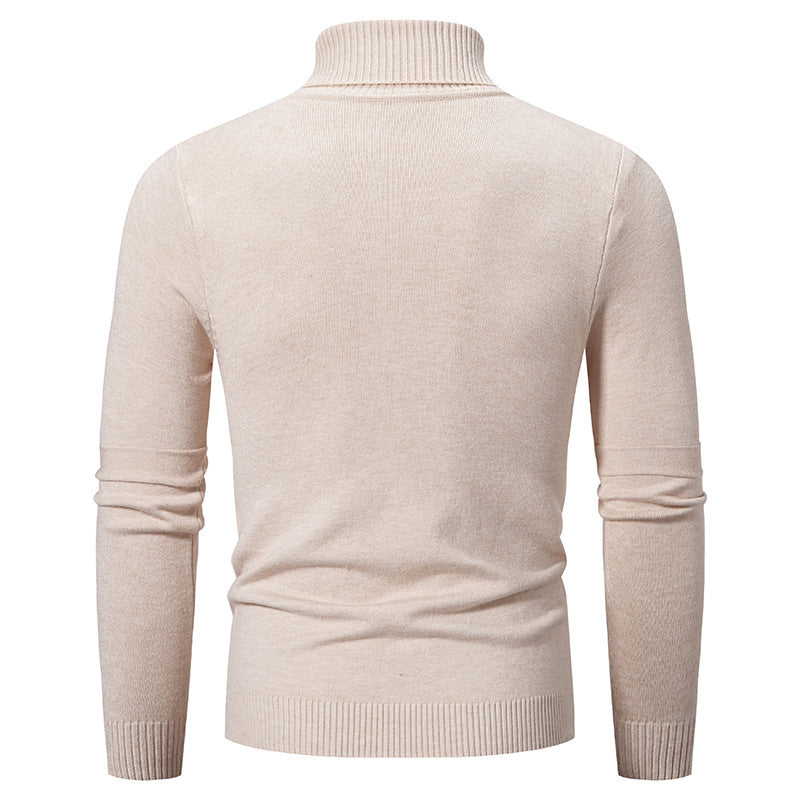Men's elegant turtleneck sweater with modern cable pattern Ivyshape