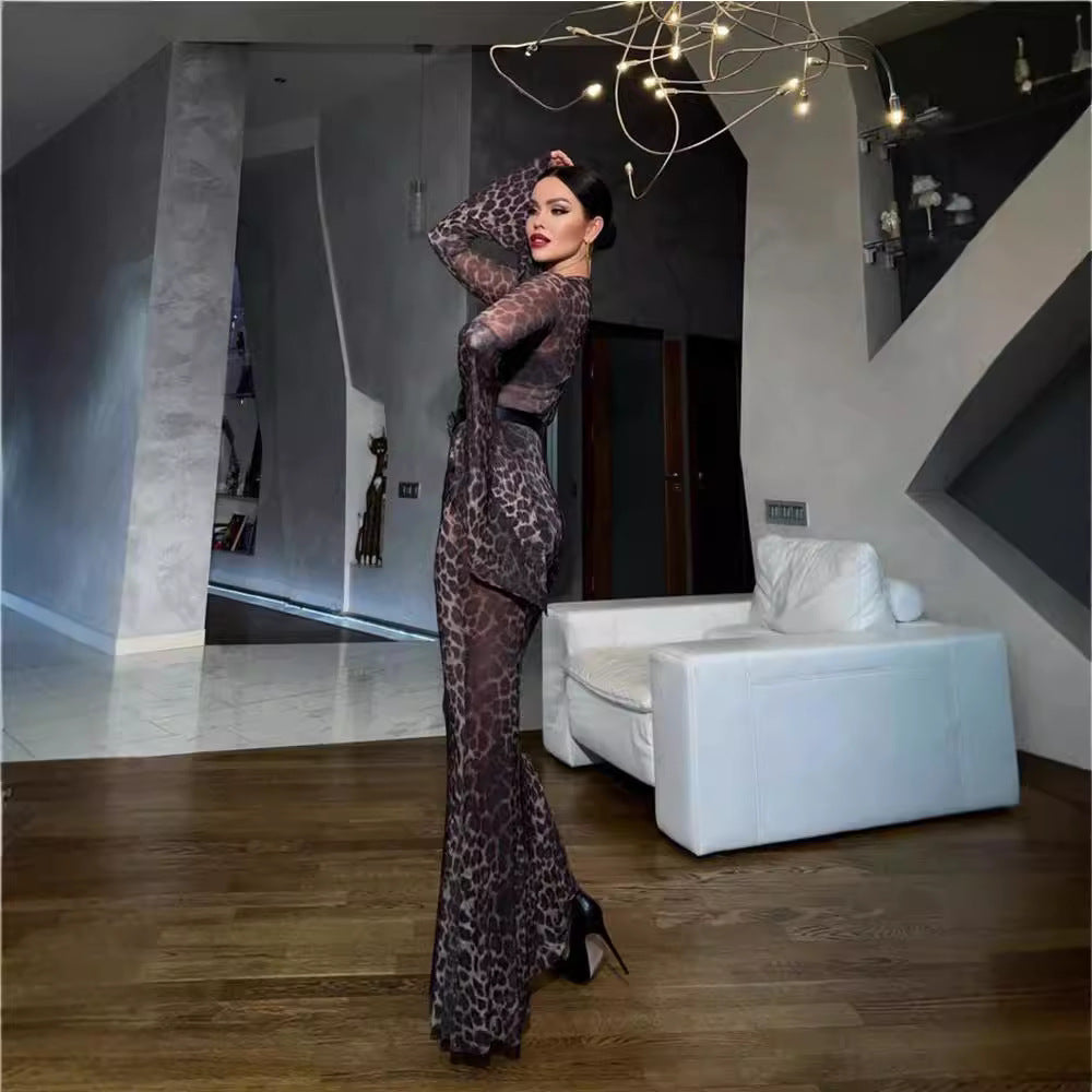 Women Elegant shimmering maxi dress with long sleeves and leopard print Ivyshape
