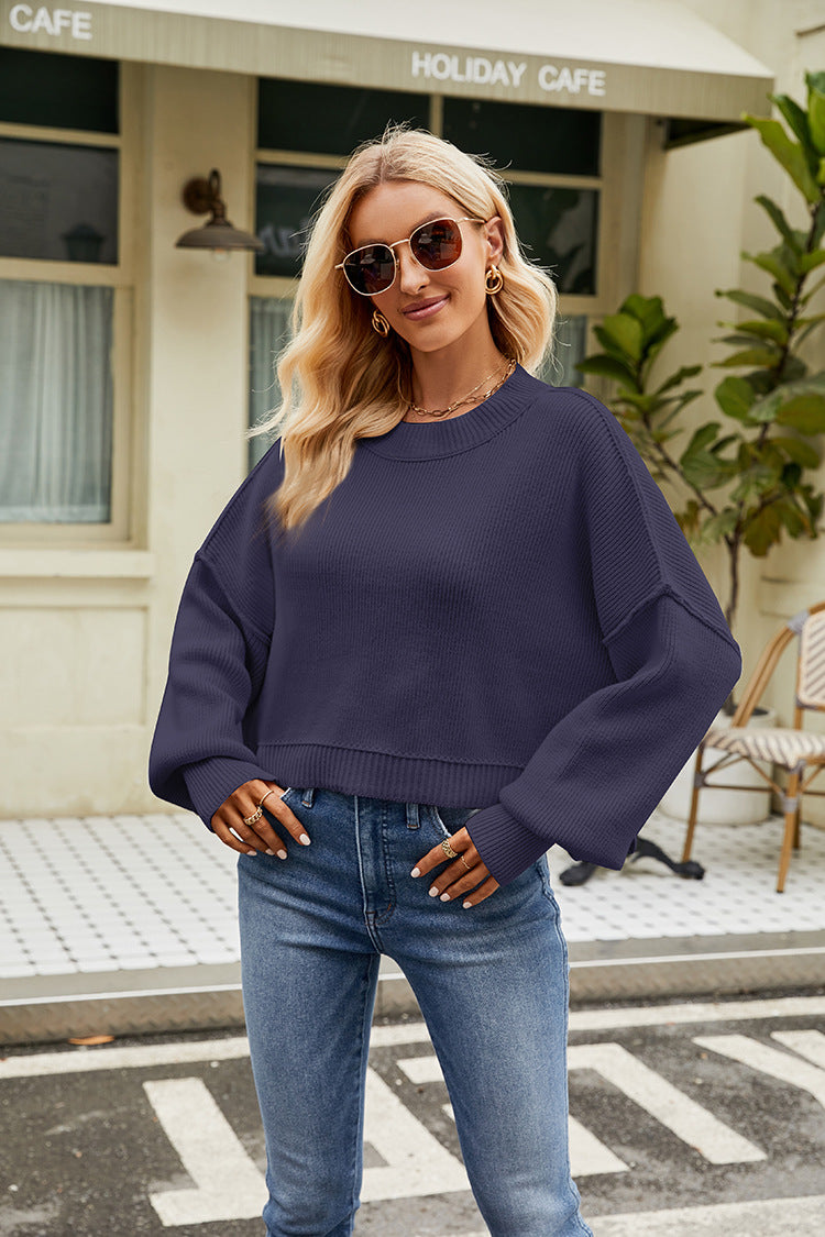 IvyShape | Stylish long-sleeve round neck knit top