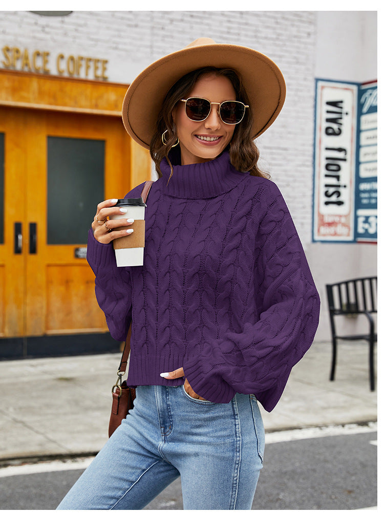 IvyShape | Chunky Knit Turtleneck Casual Sweater