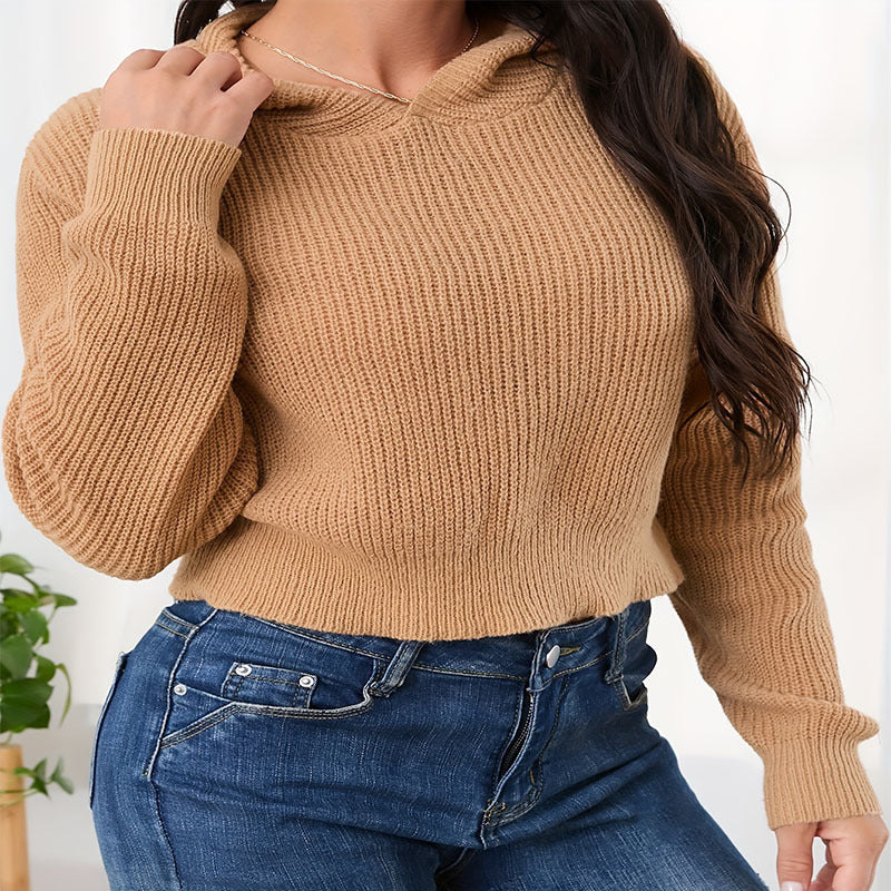 IvyShape | Casual Backless Long Sleeve Commuter Sweater