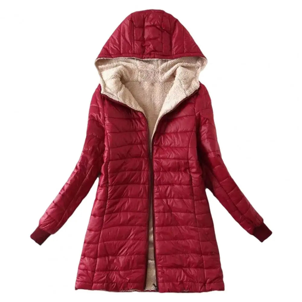 Ivyshape | Stylish Winter Jacket