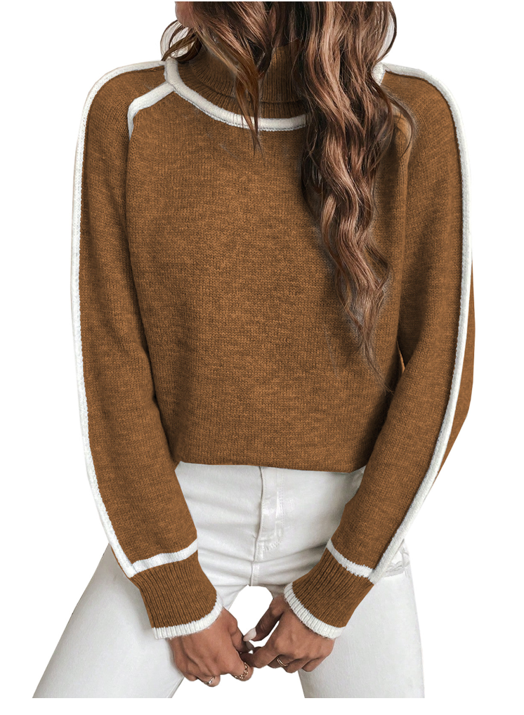 Ivyshape | Cozy Cashmere Turtleneck Sweater for Women