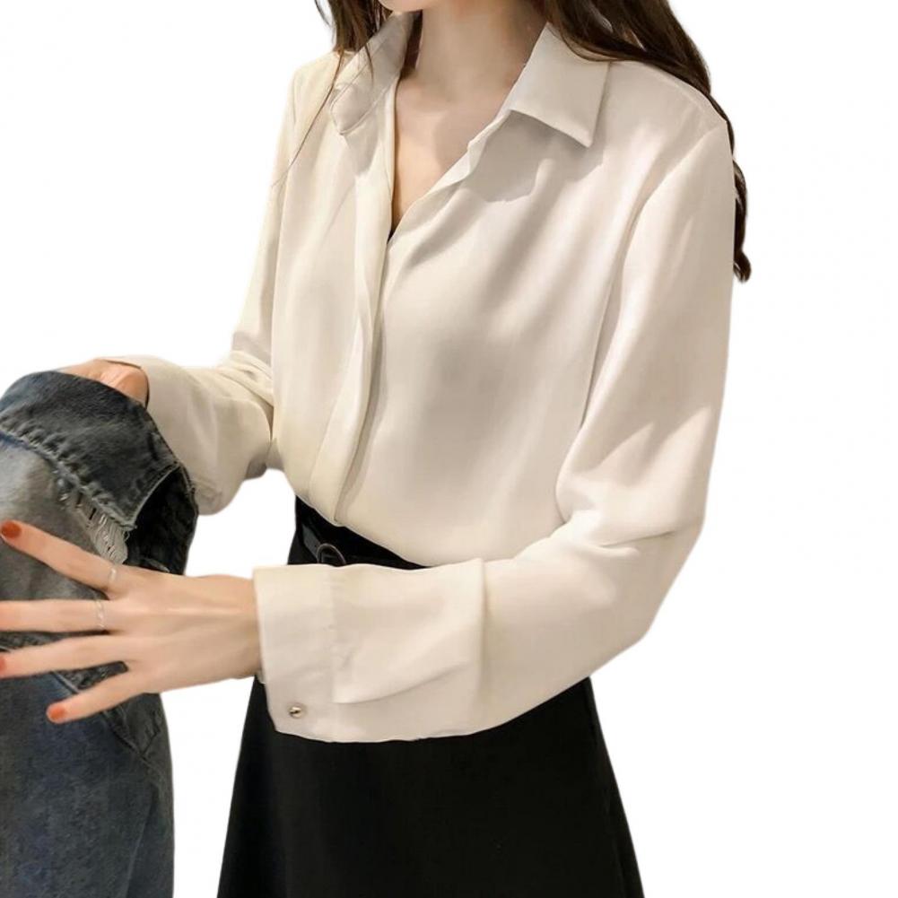 Long Sleeve Office Blouse