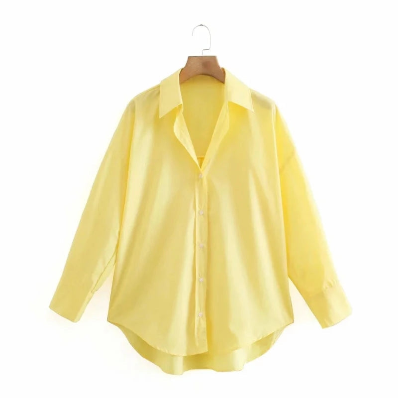 Long Sleeve Turn-Down Collar Blouse