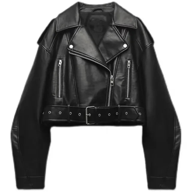 Ivyshape | Modern Short Biker Jacket