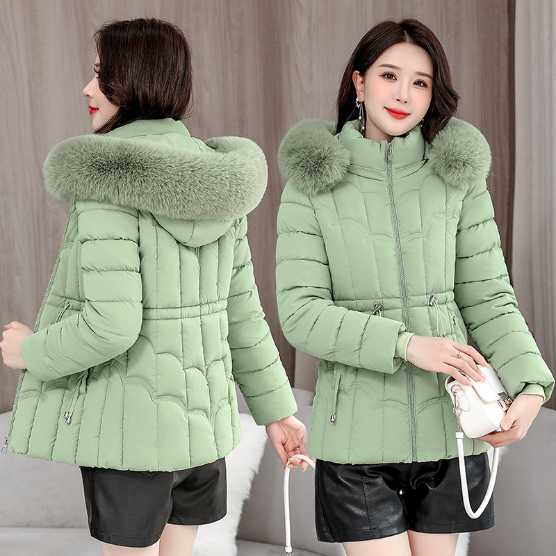 Ivyshape | Women's Winter Down Jacket Short, Hooded, Cotton Padded, Warm Overcoat Html