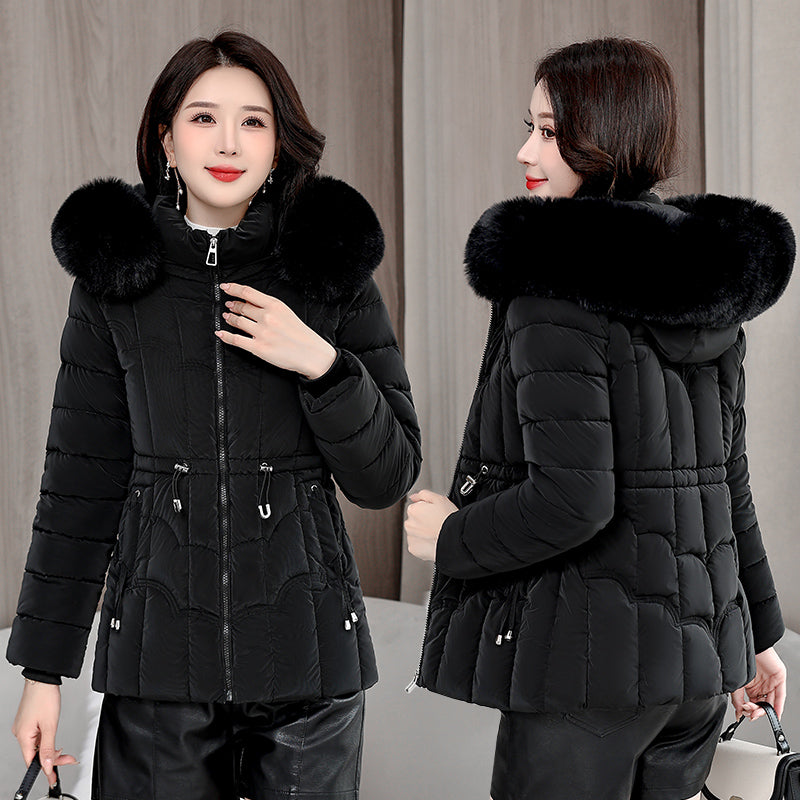 Ivyshape | Women's Winter Down Jacket Short, Hooded, Cotton Padded, Warm Overcoat Html