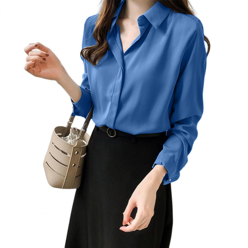 Long Sleeve Office Blouse