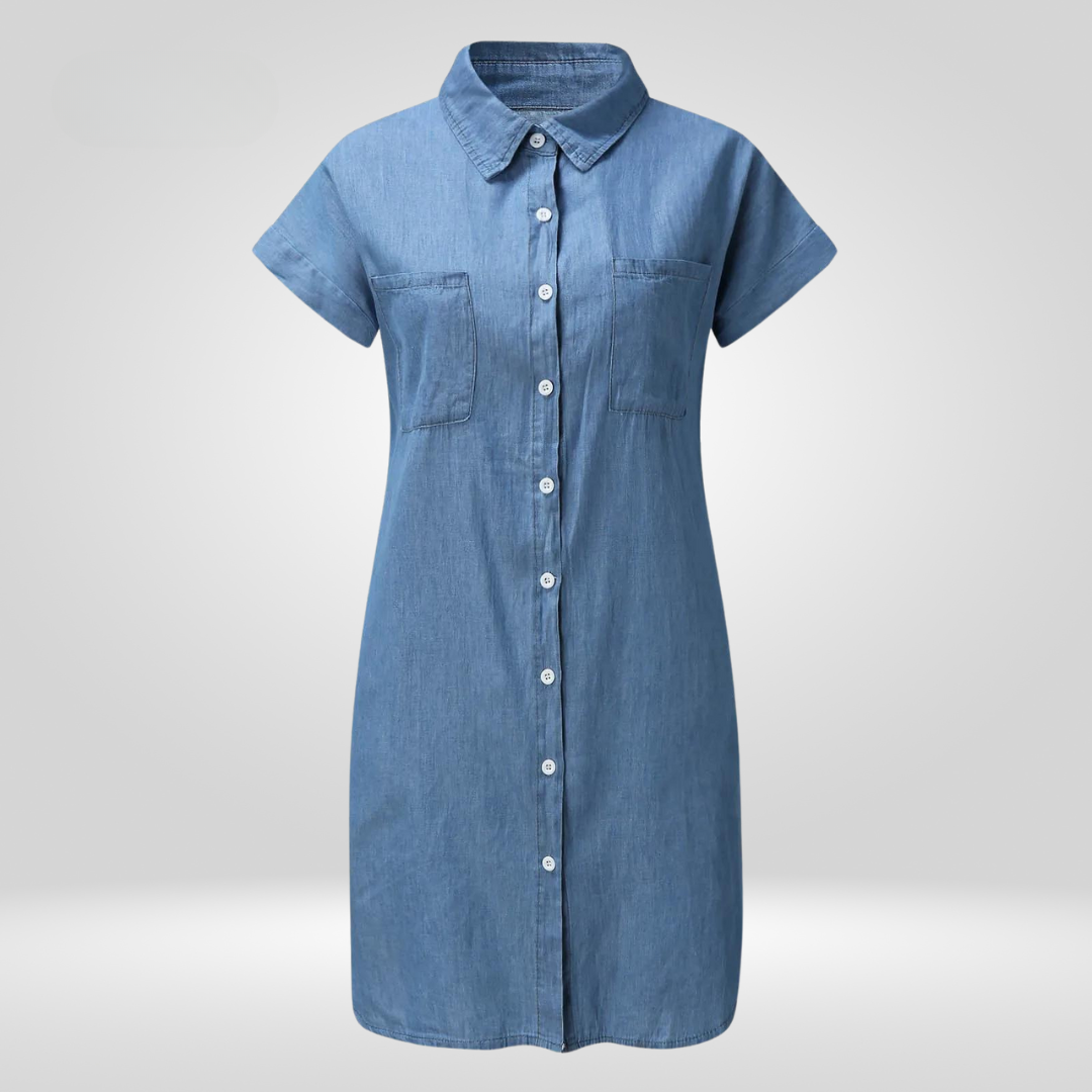 IvyShape | Elegant Denim Dress
