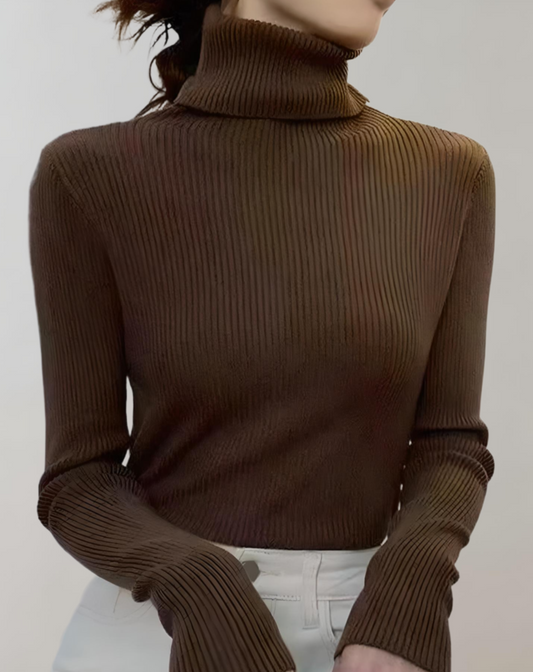 Ivyshape | Ladies Slim Ribbed Roll Neck Sweater