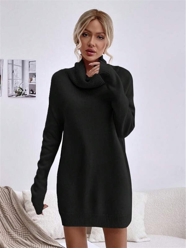 Ivyshape | Knitted Turtleneck Sweater Long Fit