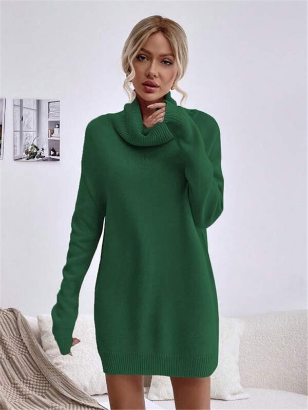 Ivyshape | Knitted Turtleneck Sweater Long Fit