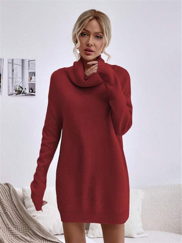 Ivyshape | Knitted Turtleneck Sweater Long Fit