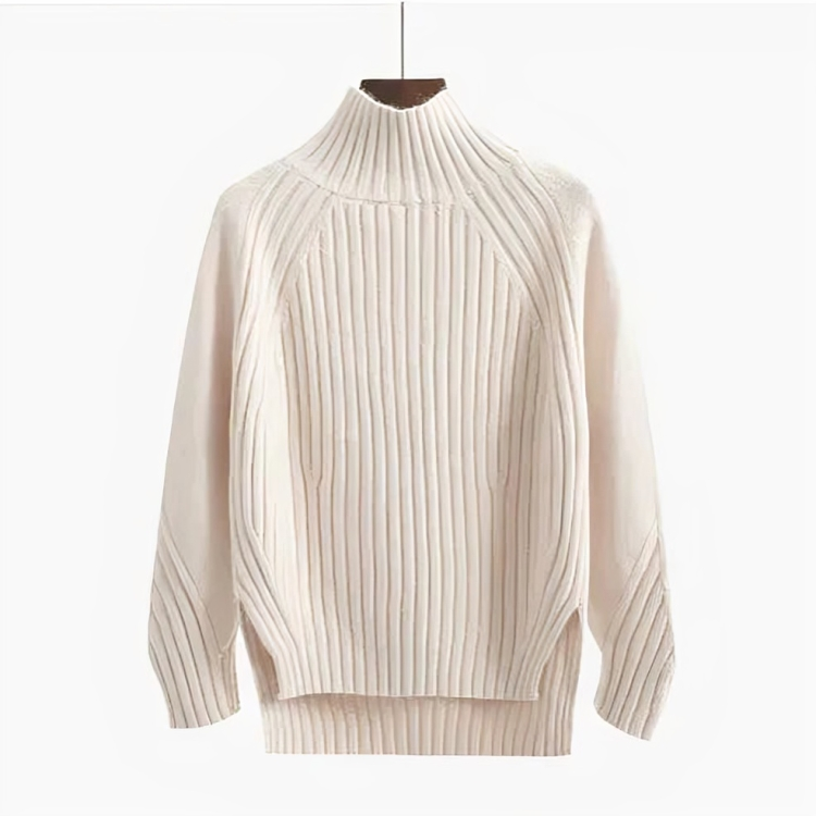 Ivyshape | Knitted Turtleneck Stylish Sweater