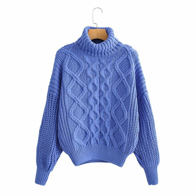 Thick Needle Twist Turtleneck Sweater