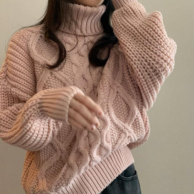 Thick Needle Twist Turtleneck Sweater