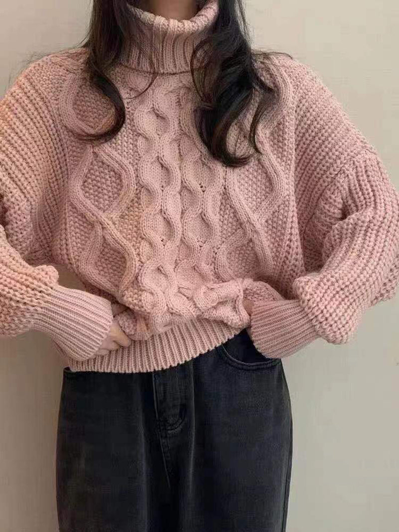 Thick Needle Twist Turtleneck Sweater