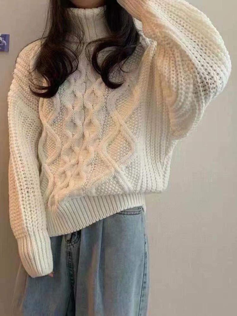 Thick Needle Twist Turtleneck Sweater