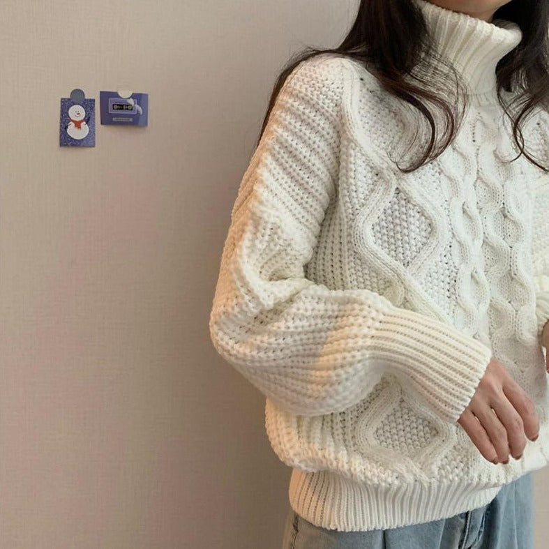 Thick Needle Twist Turtleneck Sweater