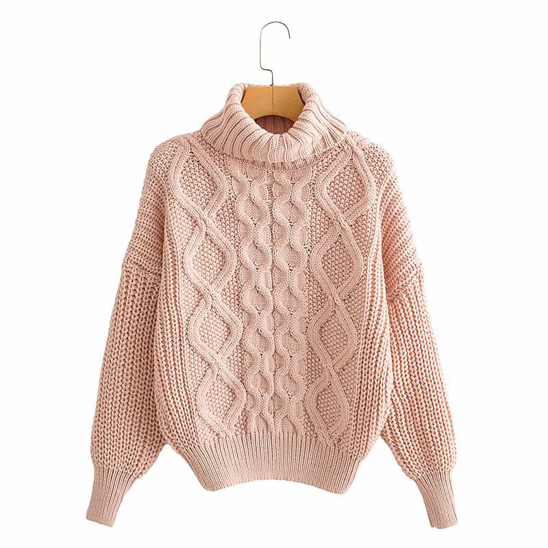 Thick Needle Twist Turtleneck Sweater