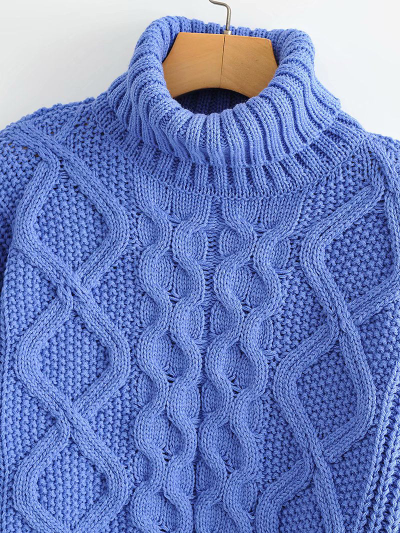 Thick Needle Twist Turtleneck Sweater