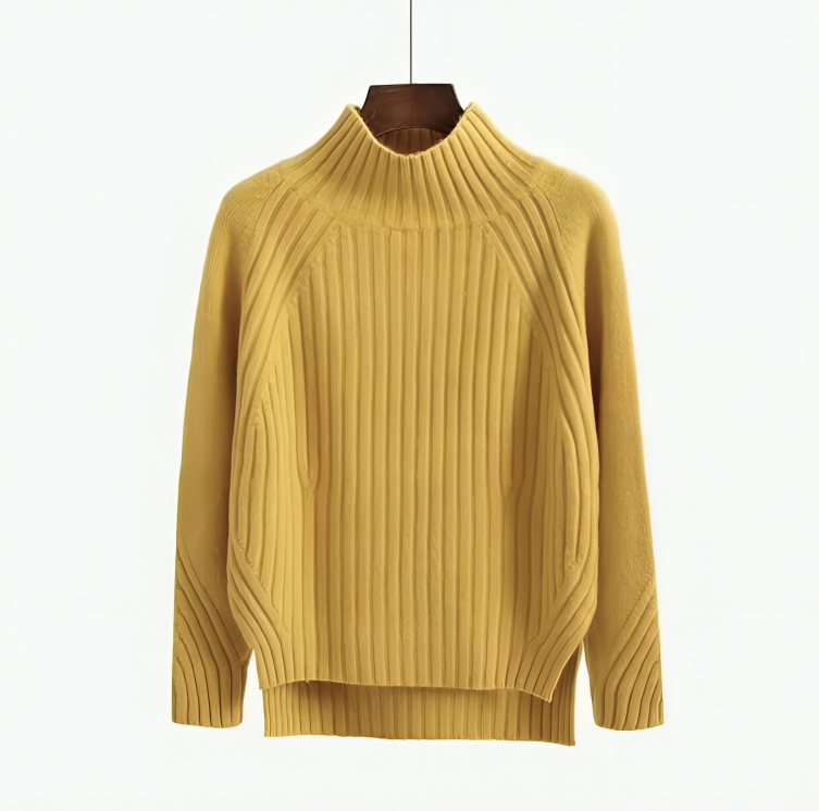 Ivyshape | Knitted Turtleneck Stylish Sweater