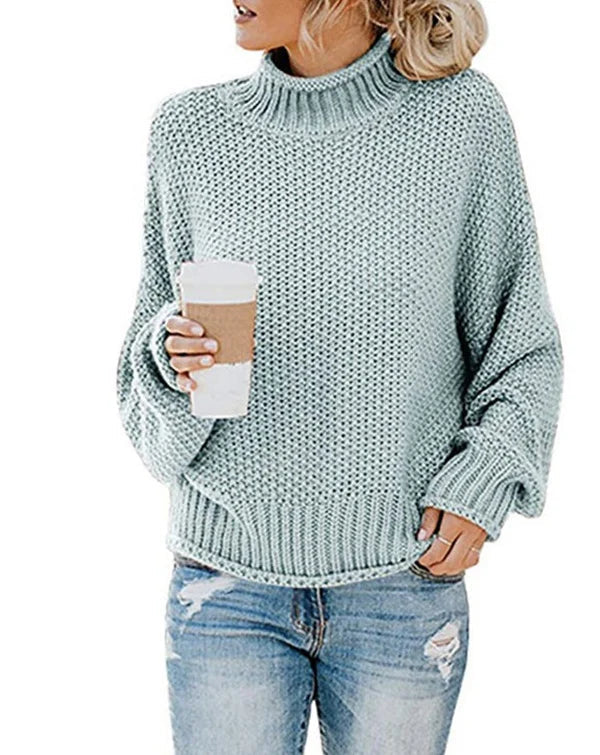 Ivyshape | Thick Sweater with High Neck